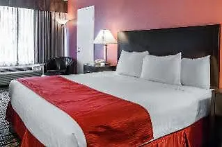 Clarion Hotel And Conference Center Near Busch Gardens Tampa